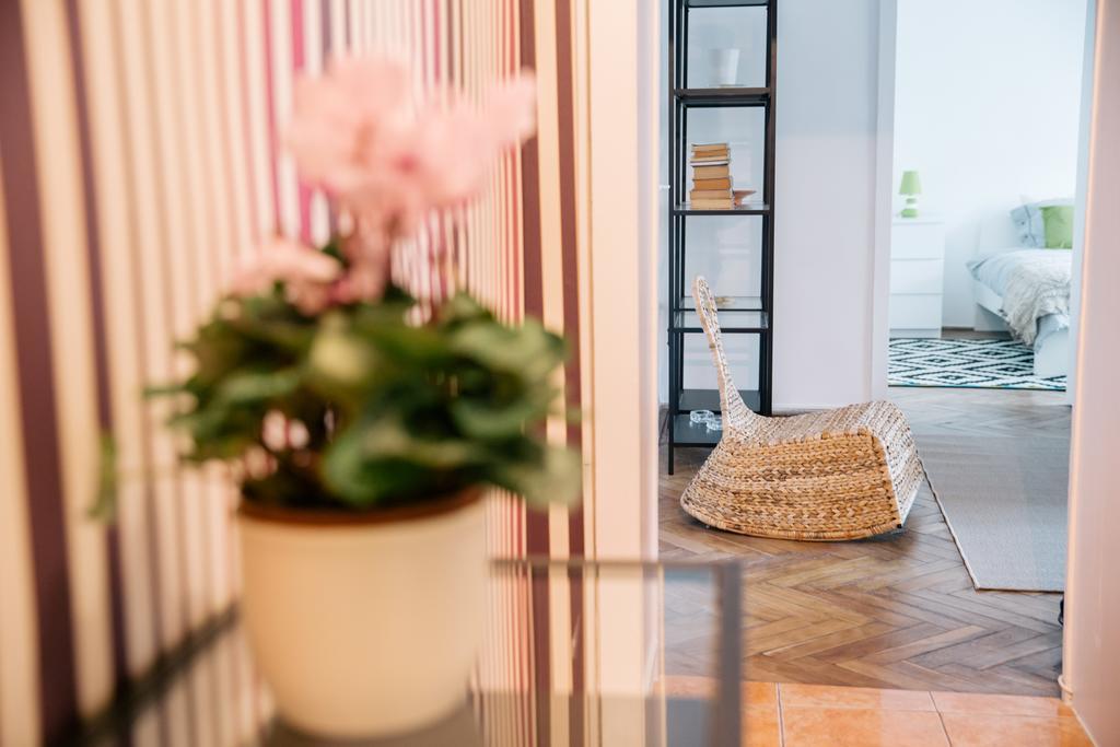 קלוז'-נאפוקה Neo Apartment Horea מראה חיצוני תמונה